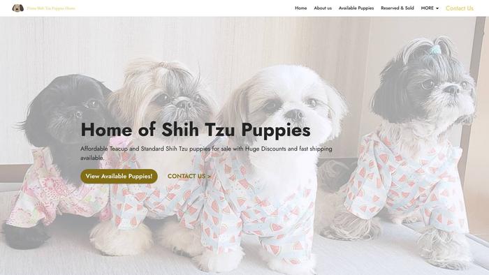 Primeminiatureshihtzupuppieshome.su - Shihtzu Puppy Scam Review