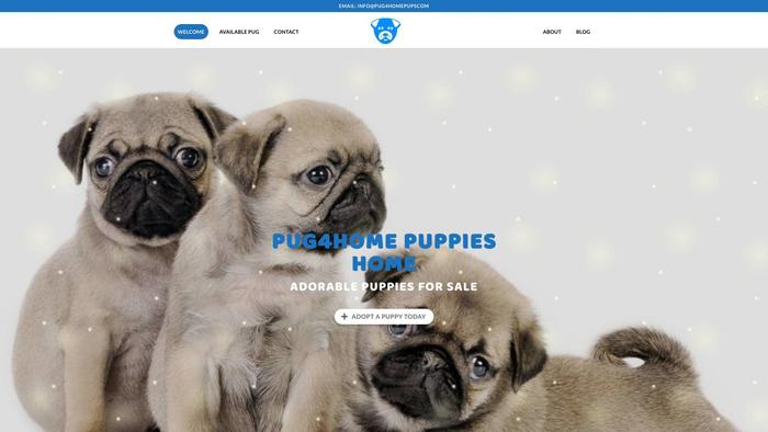 Pug4homepups.com - Pug Puppy Scam Review