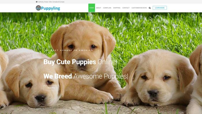 Puppyling.com - Germanshepherd Puppy Scam Review