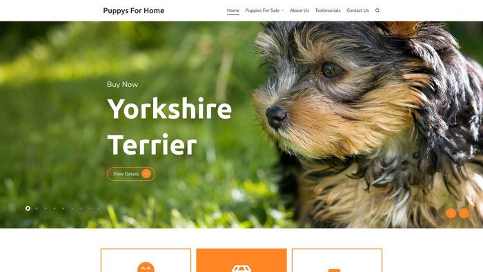 Puppysforhomeau.com - Yorkshire Terrier Puppy Scam Review