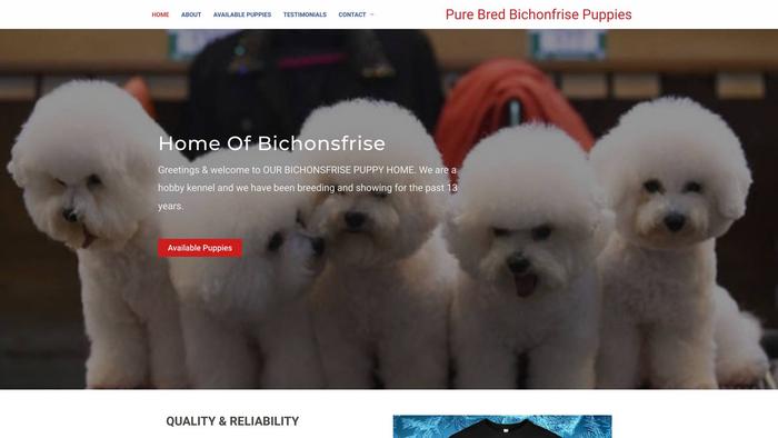 Purebredbichonfrisepuppies.com - Bichon Frise Puppy Scam Review