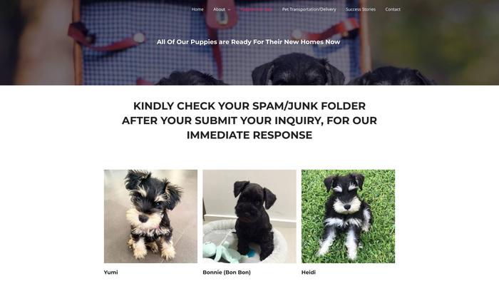 Ridgeprideminischnauzers.com - Schnauzer Puppy Scam Review