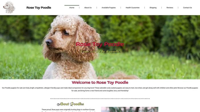 Rosetoypoodle.com - Poodle Puppy Scam Review