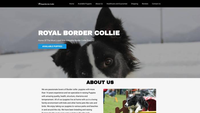 Royalbordercollie.com - Bordercollie Puppy Scam Review