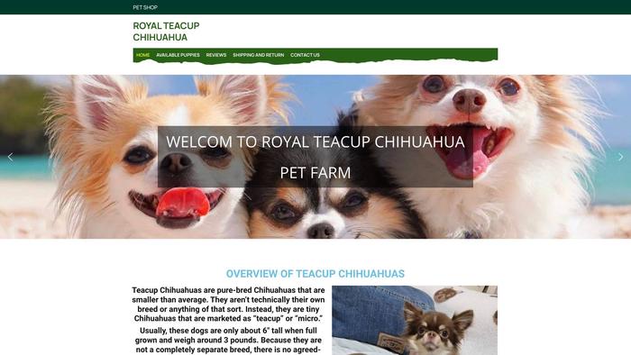 Royalteacupchihuahuapetfarm.com - Chihuahua Puppy Scam Review