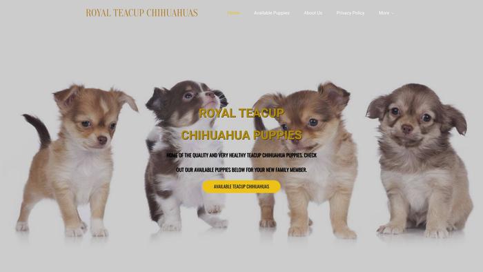 Royalteacupchihuahuas.com - Chihuahua Puppy Scam Review