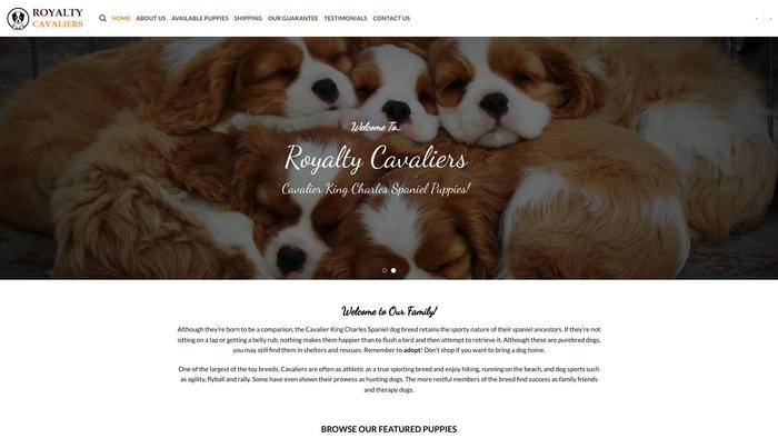 Royaltycavaliers.com - Cavalier King Charles Spaniel Puppy Scam Review