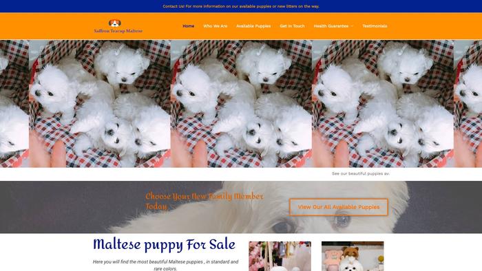 Saffronteacupmaltese.us - Maltese Puppy Scam Review