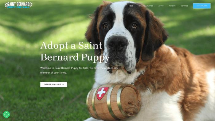 Saintbernardpuppyforsale.com - Saint Bernard Puppy Scam Review