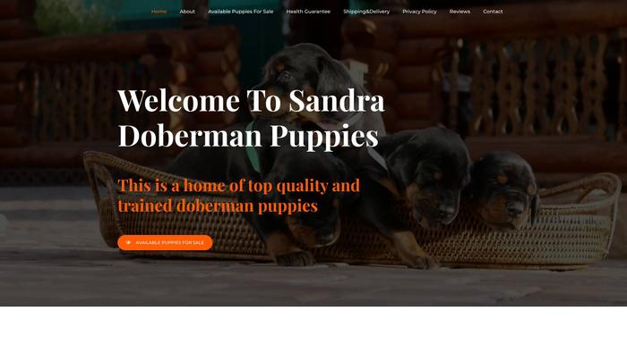 Sandradobermanpinscherpuppies.com - Doberman Pinscher Puppy Scam Review