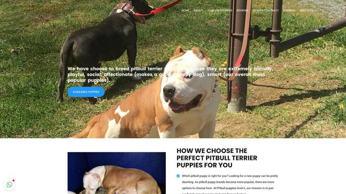 Shamleypitbulls.com - Pit Bull Puppy Scam Review