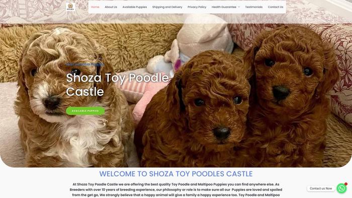 Shozatoypoodlescastle.com - Poodle Puppy Scam Review