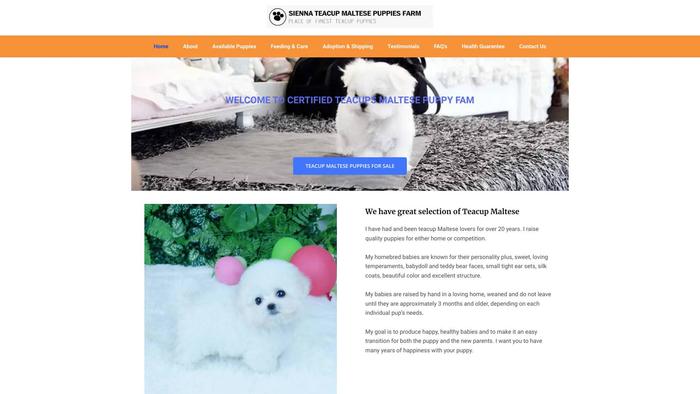 Siennateacupmaltese.com - Maltese Puppy Scam Review