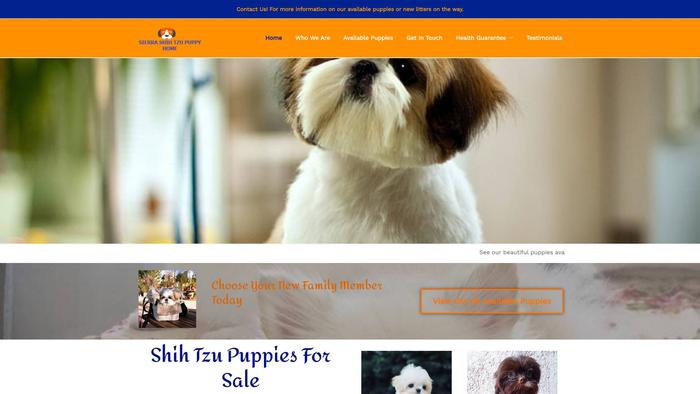 Sierrashihtzupuppies.us - Shihtzu Puppy Scam Review