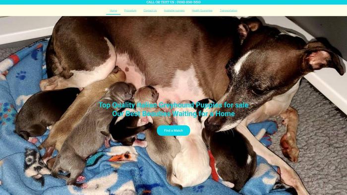 Smartiggys.com - French Bulldog Puppy Scam Review