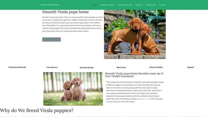 Smoothvizslapupshome.com - Labrador Puppy Scam Review