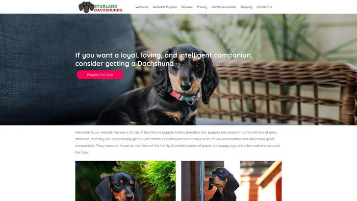 Starlanddachshunds.com - Dachshund Puppy Scam Review