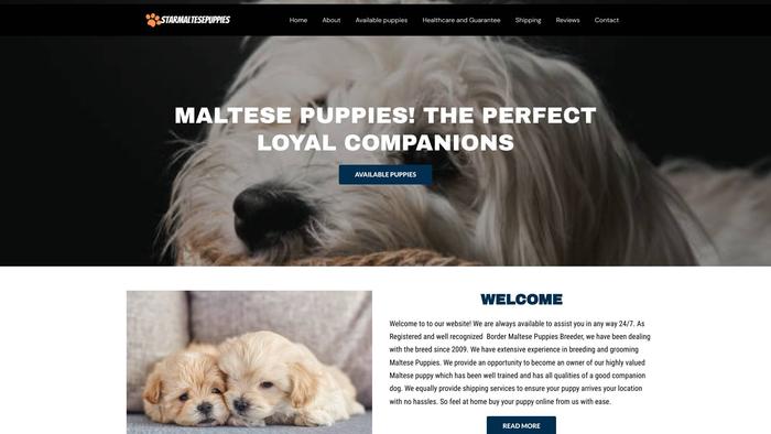 Starmaltesepuppies.com - Maltese Puppy Scam Review