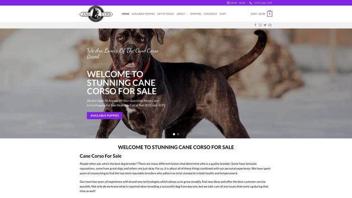 Stunningcanecorsoforsale.com - Cane Corso Puppy Scam Review