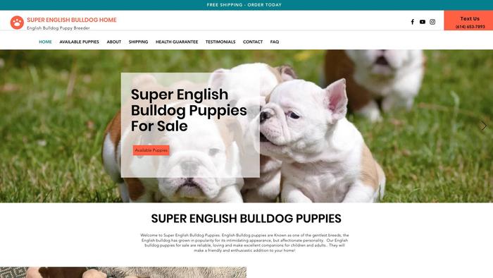 Superenglishbulldoghome.com - English Bulldog Puppy Scam Review