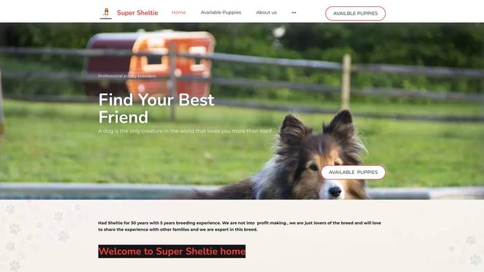 Supersheltiehome.store - Sheltie Puppy Scam Review