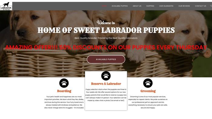 Sweetlabradorpuppies.com - Labrador Puppy Scam Review