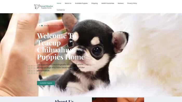 Teacupchihuahuapup.com - Chihuahua Puppy Scam Review