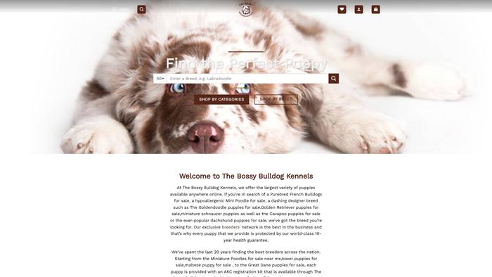 Thebossybulldogkennels.com - Bulldog Puppy Scam Review