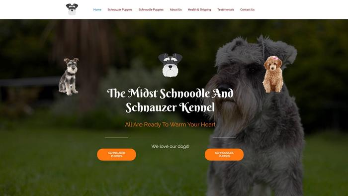 Themidstschnoodleandschnauzerkennel.com - Schnauzer Puppy Scam Review