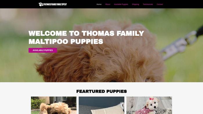 Thomasfamilymaltipoo.com - Maltipoo Puppy Scam Review