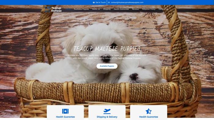 Tinyteacupmaltesepuppies.com - Maltese Puppy Scam Review