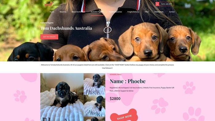 Tomdachshundsaustralia.com - Dachshund Puppy Scam Review