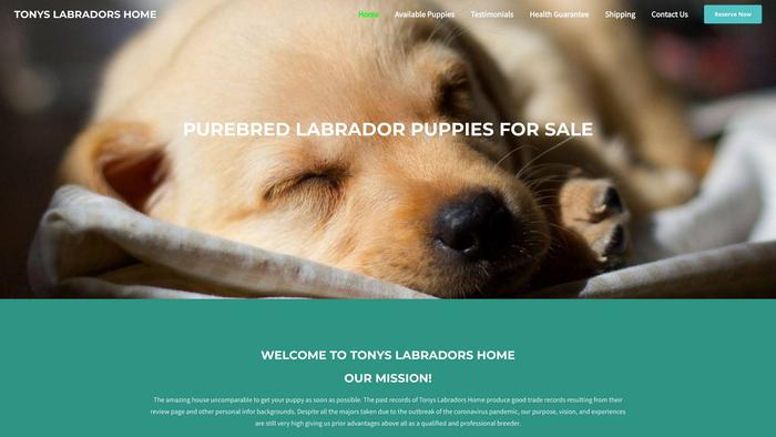 Tonyslabradorshome.com - Labrador Puppy Scam Review