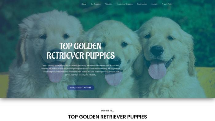 Topgoldenretrieverpups.com - Golden Retriever Puppy Scam Review