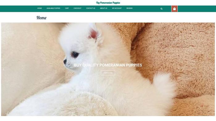 Toypomeranianpuppies.com - Pomeranian Puppy Scam Review