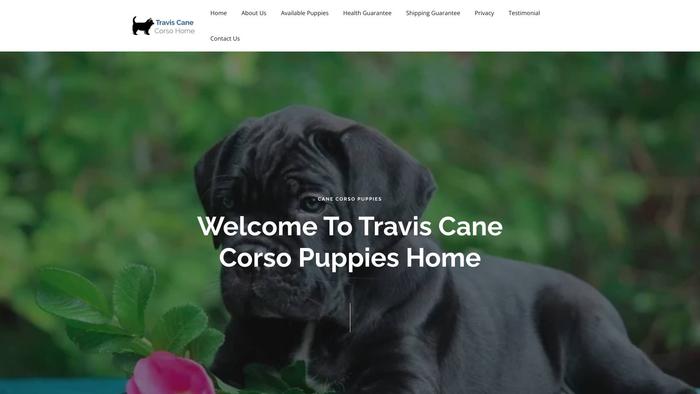 Traviscanecorsohome.com - Cane Corso Puppy Scam Review