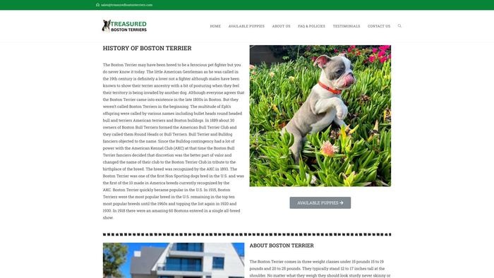 Treasuredbostonterriers.com - Terrier Puppy Scam Review