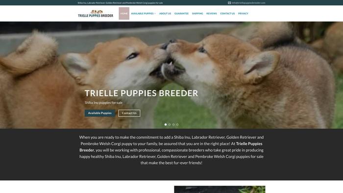 Triellepuppiesbreeder.com - French Bulldog Puppy Scam Review