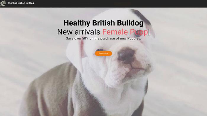 Trumbullbritishbulldog.com - Bulldog Puppy Scam Review