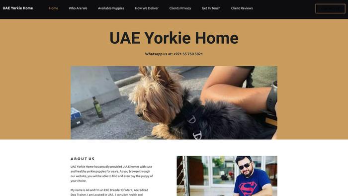 Uaeyorkiebreeder.store - Yorkshire Terrier Puppy Scam Review