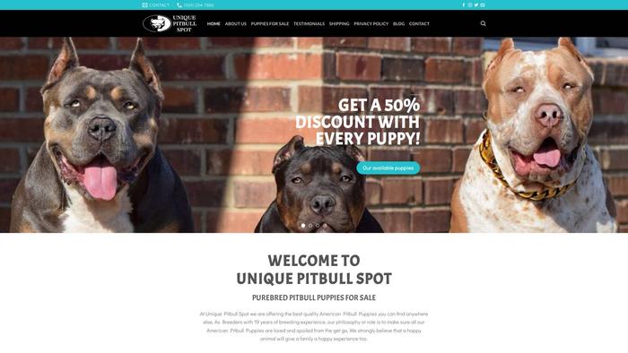 Uniquepitbullspot.com - Pit Bull Puppy Scam Review