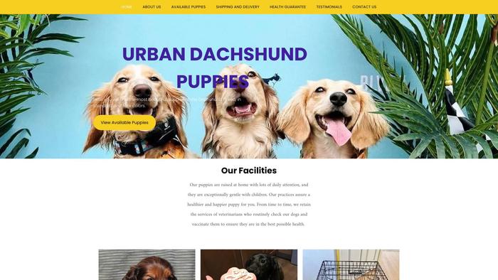 Urbandachshundpuppies.com - Dachshund Puppy Scam Review