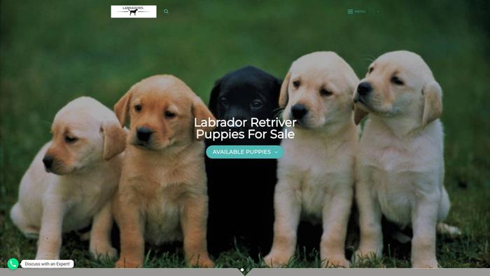 Uslabrador.com - Labrador Puppy Scam Review