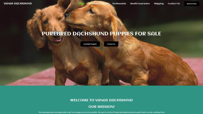 Vanasdachshund.com - Dachshund Puppy Scam Review