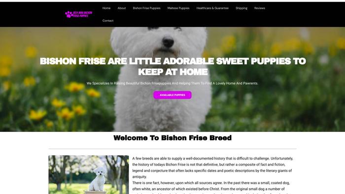 Velyminibichonfrisepuppies.com - Bichon Frise Puppy Scam Review