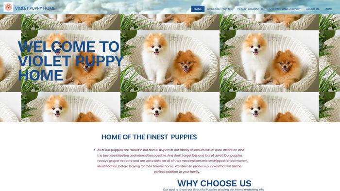 Violetpuppyhome.com - French Bulldog Puppy Scam Review