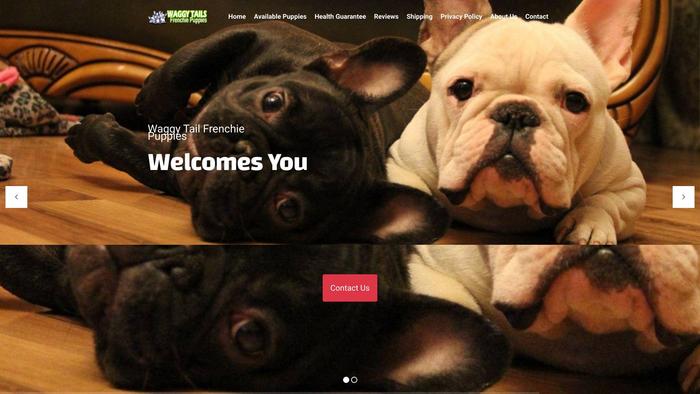 Waggytailfrenchiepuppies.com - French Bulldog Puppy Scam Review