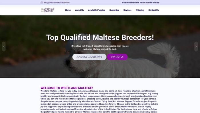 Westlandmaltese.com - Maltese Puppy Scam Review