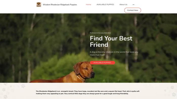 Wisdomrhodesianridgeback.store - Rhodesian Ridgeback Puppy Scam Review