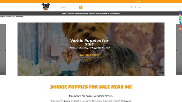 Yorkiepuppiesforsalenearme.online - Yorkshire Terrier Puppy Scam Review